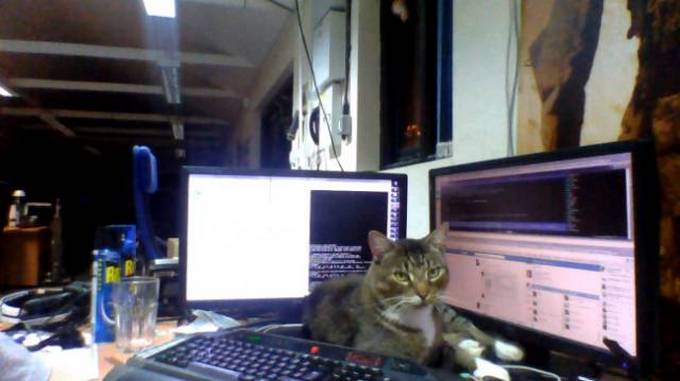 Diversão no trabalho (19 fotos) 4