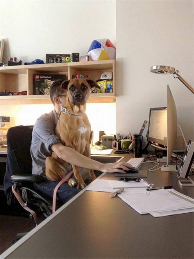 Diversão no trabalho (19 fotos) 6