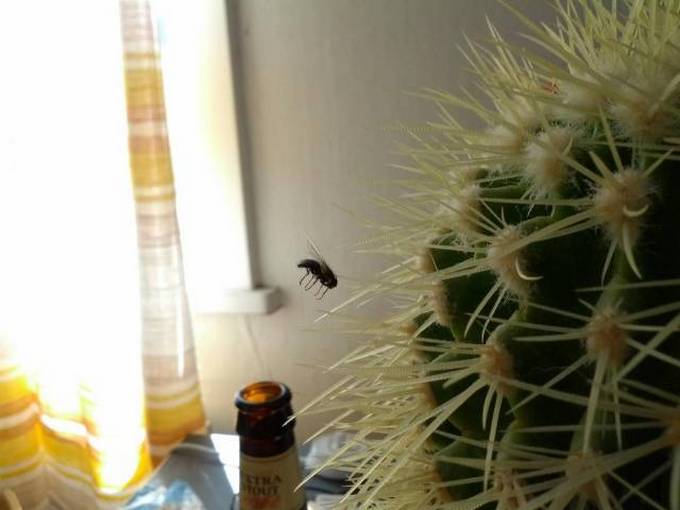 Essas coincidências são realmente tão boas! (37 fotos) 10