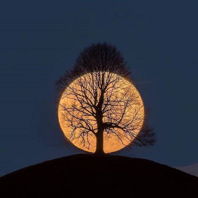 Essas coincidências são realmente tão boas! (37 fotos) 11