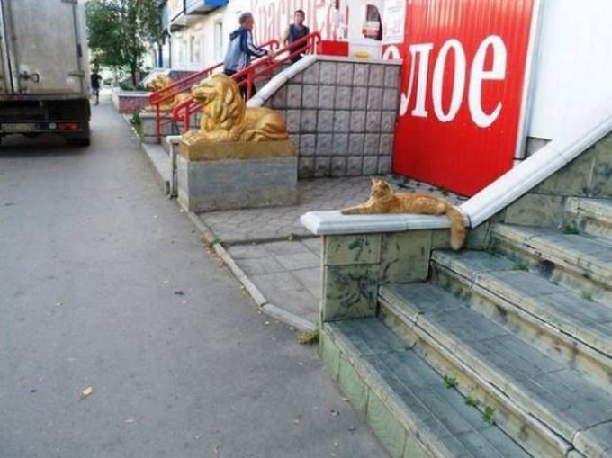 Essas coincidências são realmente tão boas! (37 fotos) 13