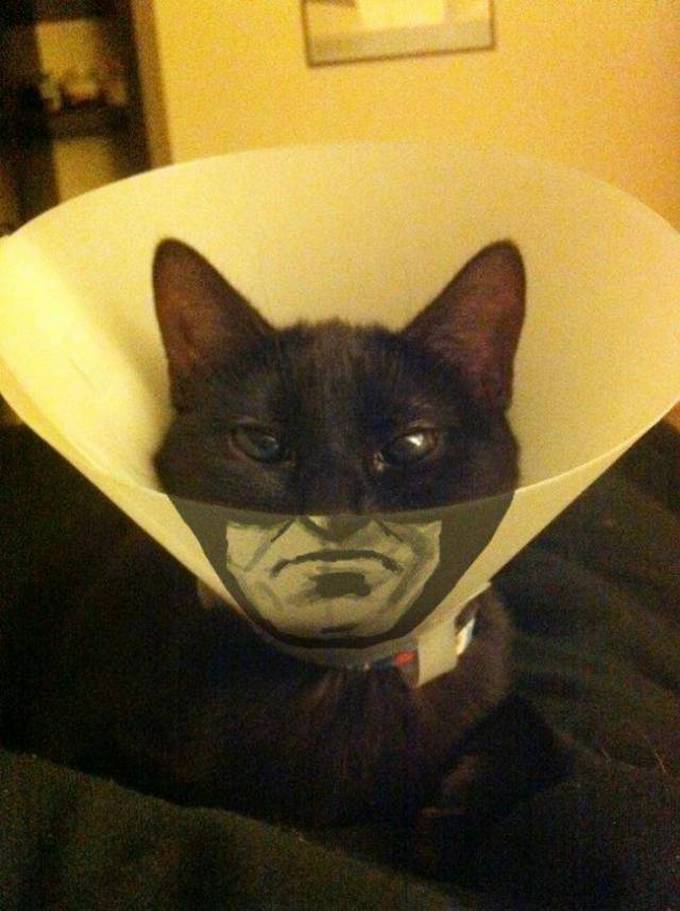 Essas coincidências são realmente tão boas! (37 fotos) 18