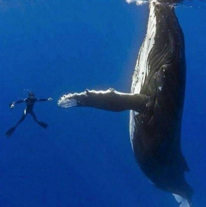 Essas coincidências são realmente tão boas! (37 fotos) 27