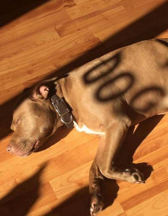 Essas coincidências são realmente tão boas! (37 fotos) 28