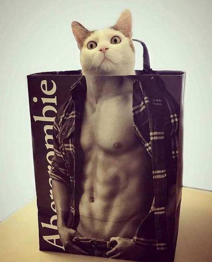Essas coincidências são realmente tão boas! (37 fotos) 37