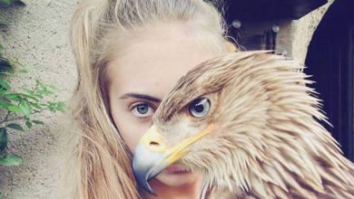 Essas coincidências são realmente tão boas! (37 fotos) 25