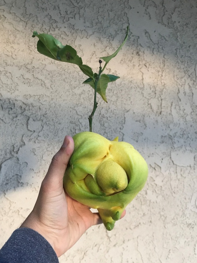 24 fotos desconfortável que levantam mais perguntas do que respostas 2