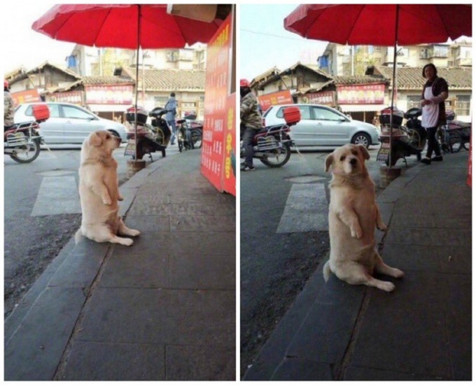 24 fotos desconfortável que levantam mais perguntas do que respostas 4