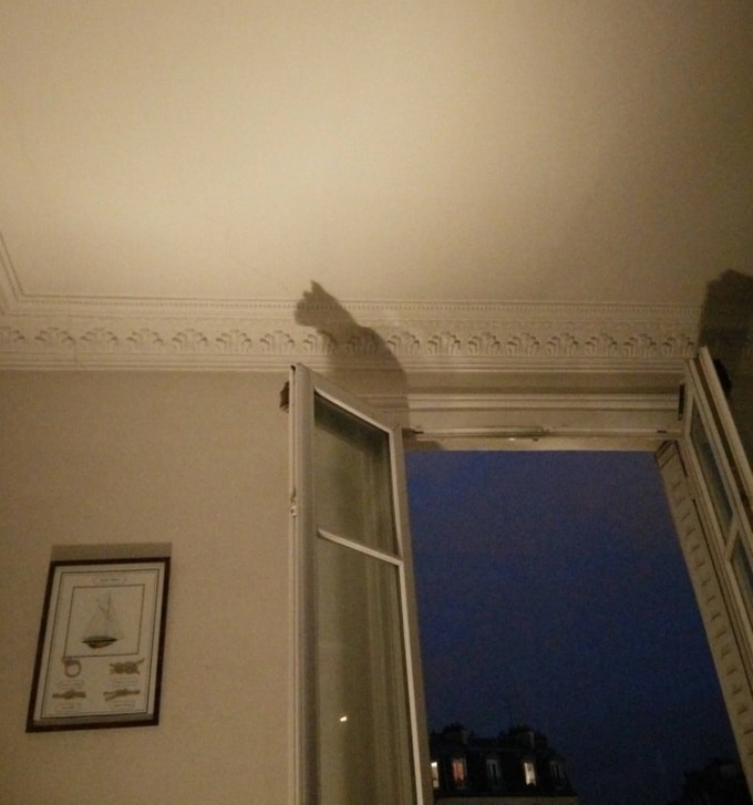 23 fotos enganosas, onde é difícil mostrar o que é realmente 14