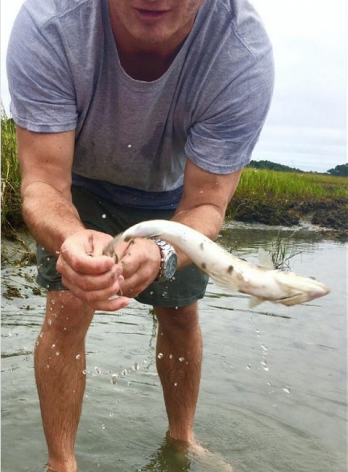 22 fotos hilariantes capturado no momento certo 4