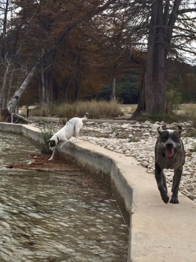 22 fotos hilariantes capturado no momento certo 6