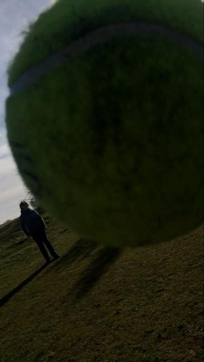 22 fotos hilariantes capturado no momento certo 9