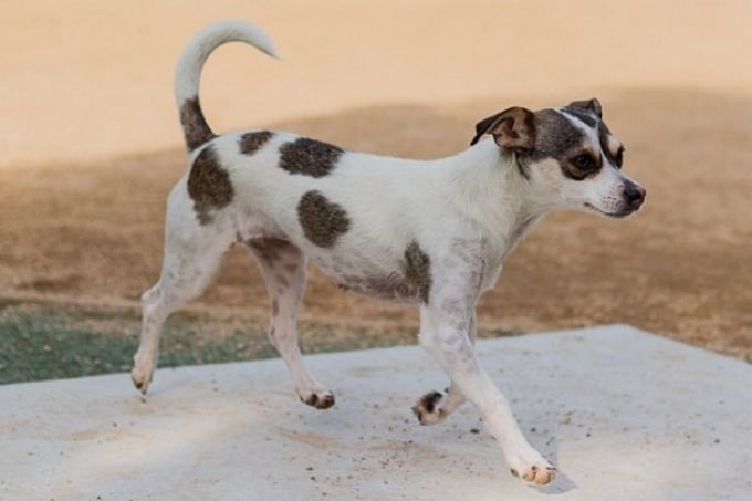 22 fotos hilariantes capturado no momento certo 11