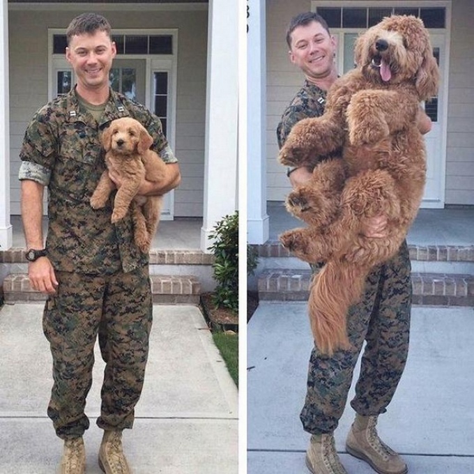 14 fotos mostrando que nada é para sempre 10