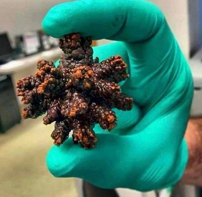 14 fotos mostrando que nada é para sempre 12