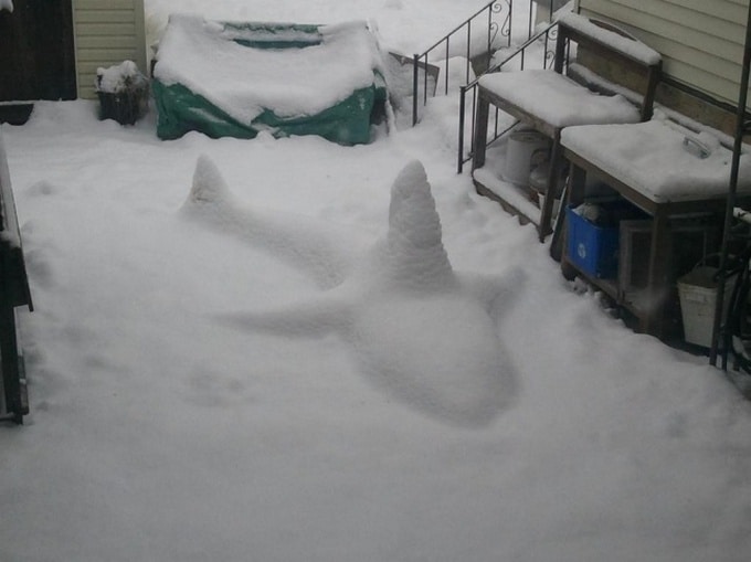 21 fotos que farão com que qualquer pessoa se sinta nervoso 8