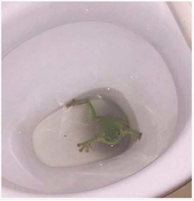 21 fotos que farão com que qualquer pessoa se sinta nervoso 13