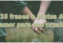 135 frases e status de amor para seu crush 6