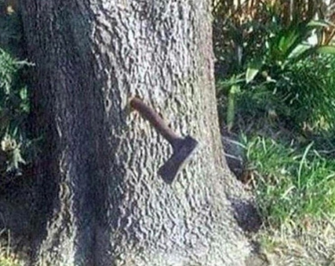 20 pessoas que tem um modo de pensar diferente do padrões existentes 6