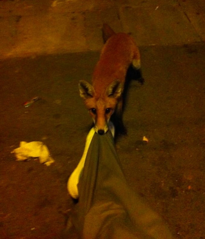 21 pessoas que não deveriam ter bebido 19