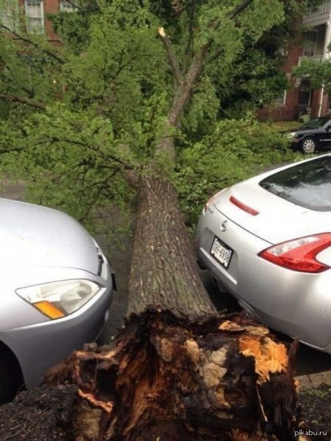 18 pessoas que tiveram uma sorte insana 8