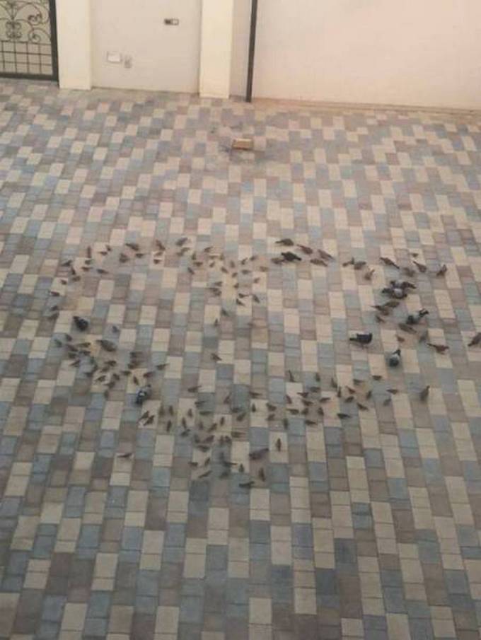 Tudo para um tempo perfeito! (32 fotos) 13