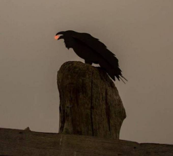 Tudo para um tempo perfeito! (32 fotos) 17