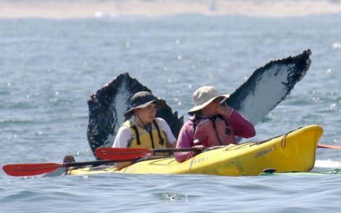 Tudo para um tempo perfeito! (32 fotos) 22