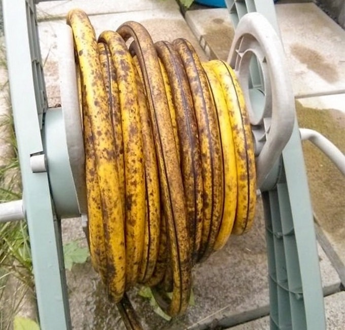 20 coisas que demonstram que seu cérebro só pensa em comida