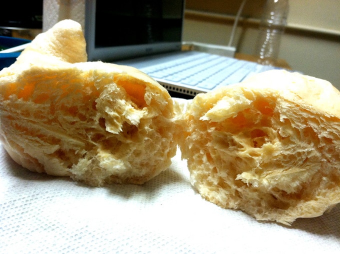 15 coisas que dominaram a arte de ninja da camuflagem 12