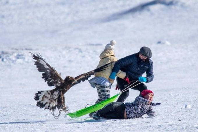 Coisas ruins acontecem com todo mundo (26 fotos) 2