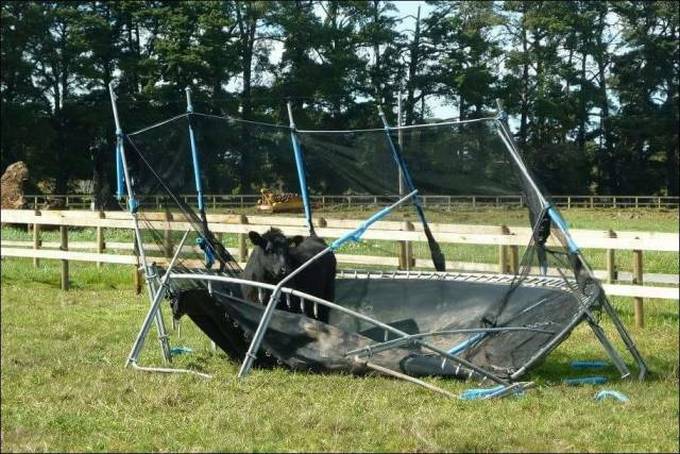 Coisas ruins acontecem com todo mundo (26 fotos) 13