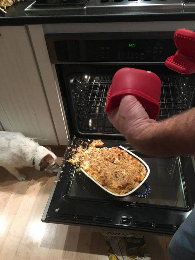 Coisas ruins acontecem com todo mundo (26 fotos) 14