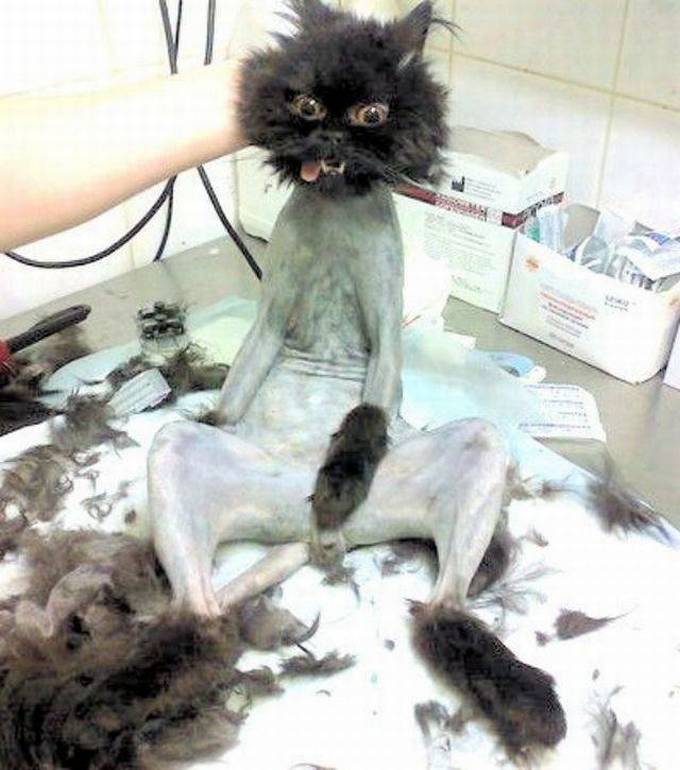 Coisas ruins acontecem com todo mundo (26 fotos) 22