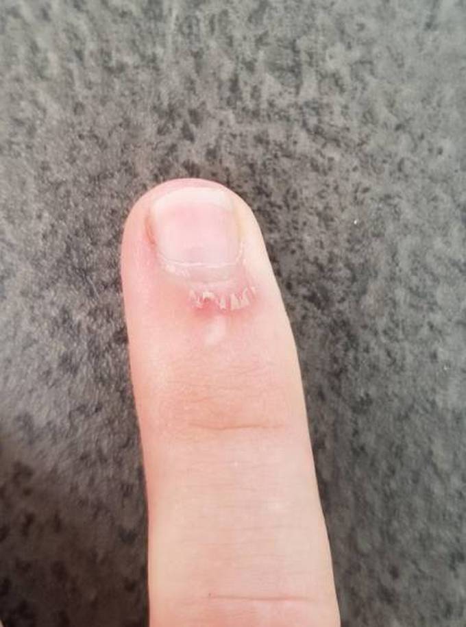 25 fotos que deixa qualquer pessoa furiosa 14