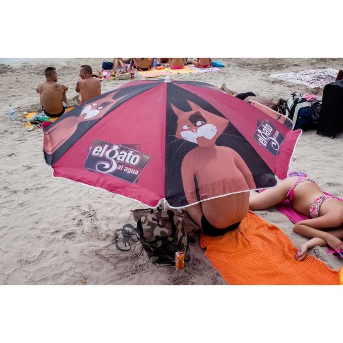 22 fotos que foram tiradas no momento perfeito 2