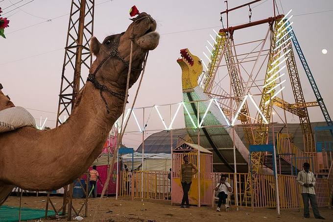 22 fotos que foram tiradas no momento perfeito 3