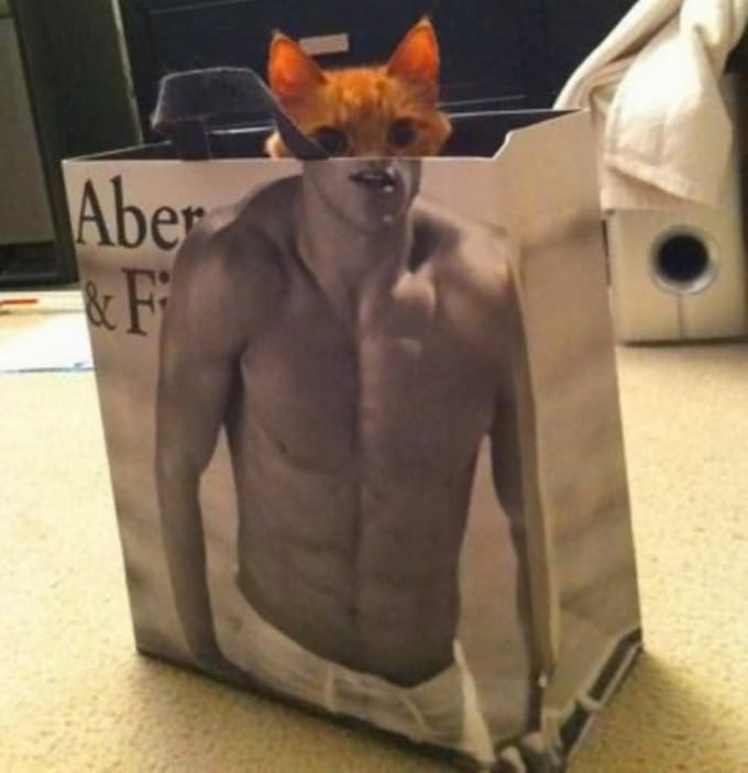 22 fotos que foram tiradas no momento perfeito 9