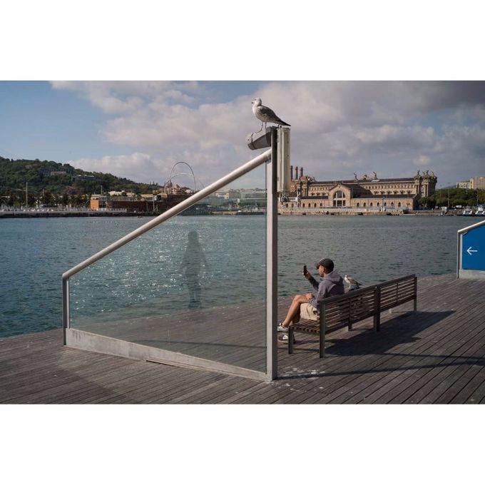 22 fotos que foram tiradas no momento perfeito 12