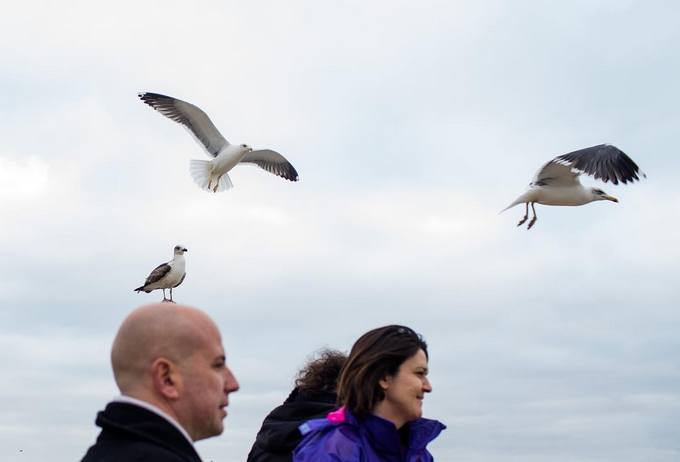 22 fotos que foram tiradas no momento perfeito 16