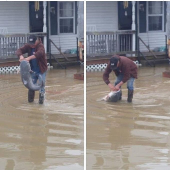 23 fotos loucas que deixam você pensando: O que está acontecendo aqui? 10