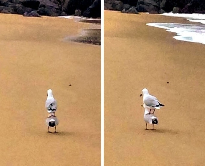 23 fotos loucas que deixam você pensando: O que está acontecendo aqui? 17