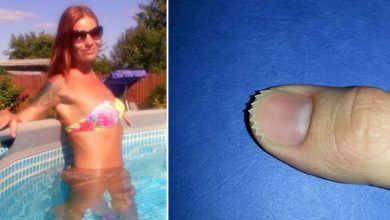 23 fotos loucas que deixam você pensando: O que está acontecendo aqui? 42