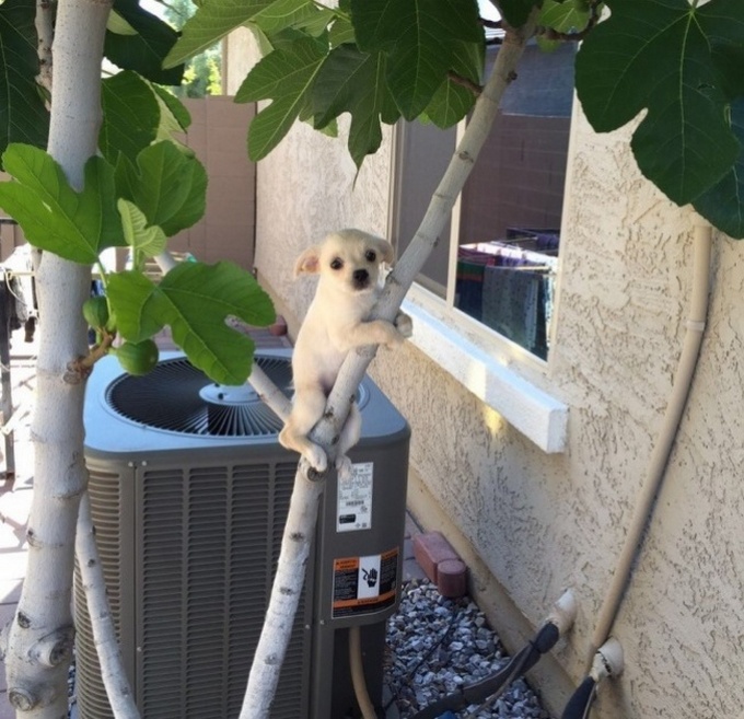 24 fotos que precisamos de um tempo para fazer sentido 2