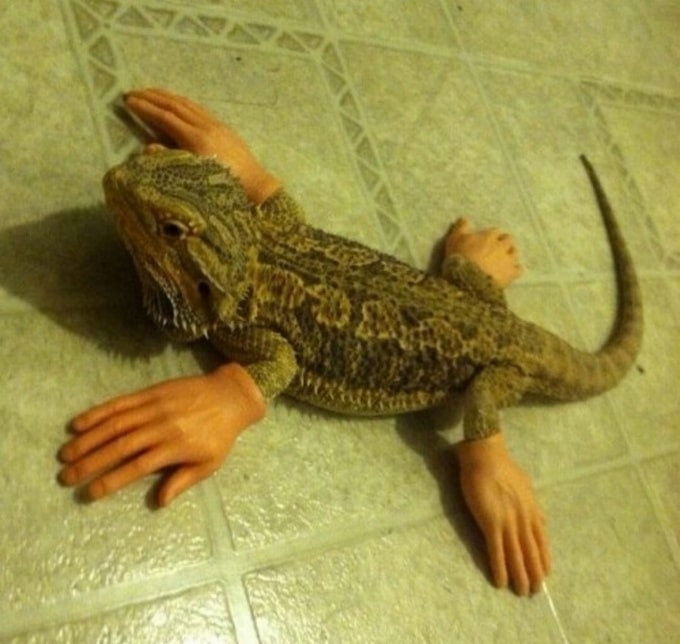 24 fotos que precisamos de um tempo para fazer sentido 4