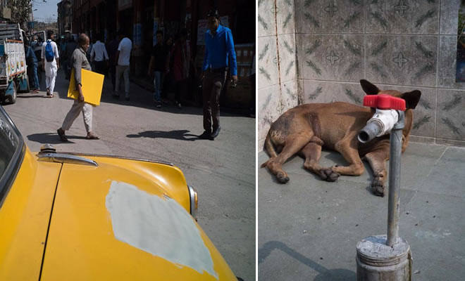 29 incríveis coincidências de fotos tiradas nas ruas pelo mundo