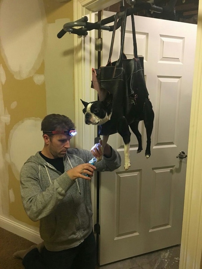 22 pessoas extraordinárias que têm seu próprio jeito de fazer as coisas 1