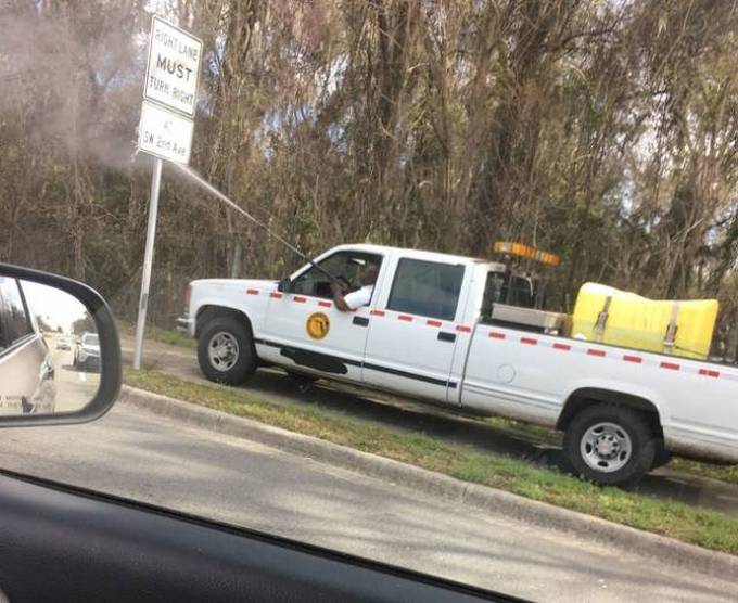 Preguiça é um animal de espírito para essas pessoas (31 fotos) 2