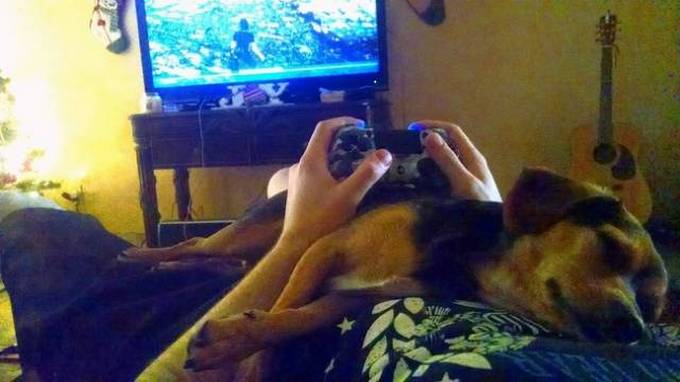 Preguiça é um animal de espírito para essas pessoas (31 fotos) 3