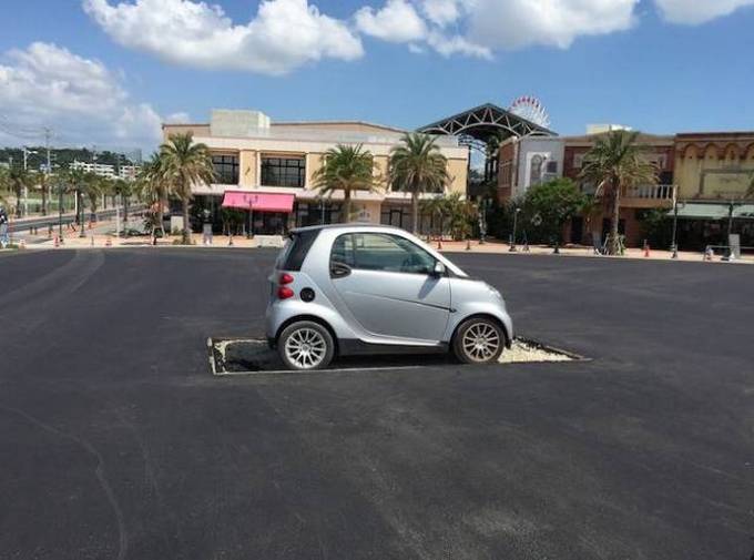 Preguiça é um animal de espírito para essas pessoas (31 fotos) 5